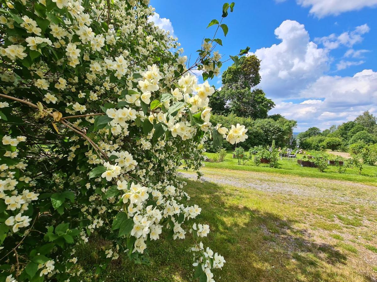 Risberg Herrgard Hagfors Kültér fotó